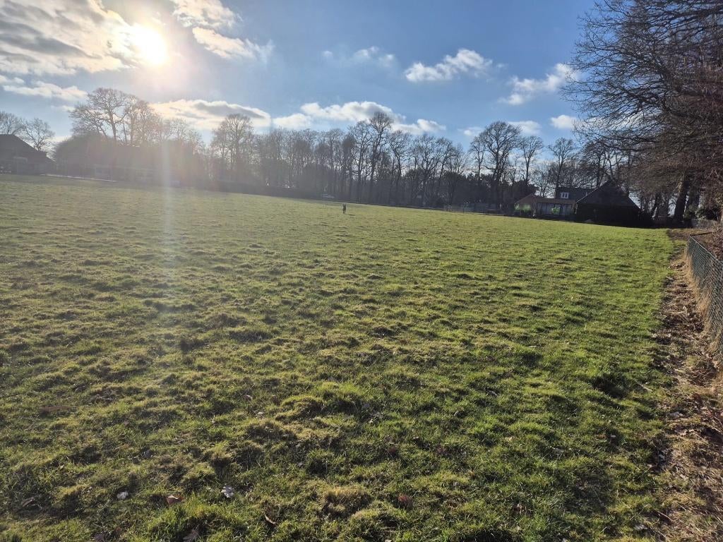 Te huur: weide – ca. 9100 m² (Nieuw-Amsterdam)