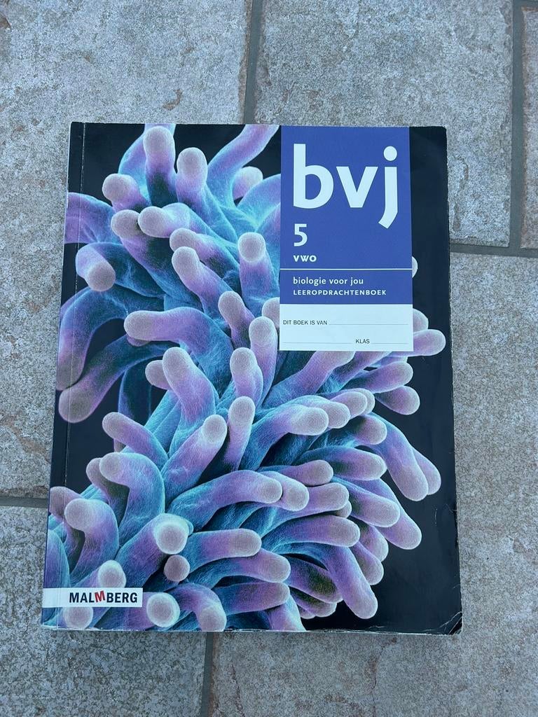 BVJ 5 VWO Leeropdrachtenboek, Boeken, Ophalen of Verzenden, Zo goed als nieuw, VWO