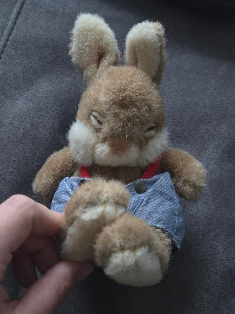 Pieter Konijn knuffel, Ophalen of Verzenden, Zo goed als nieuw, Konijn