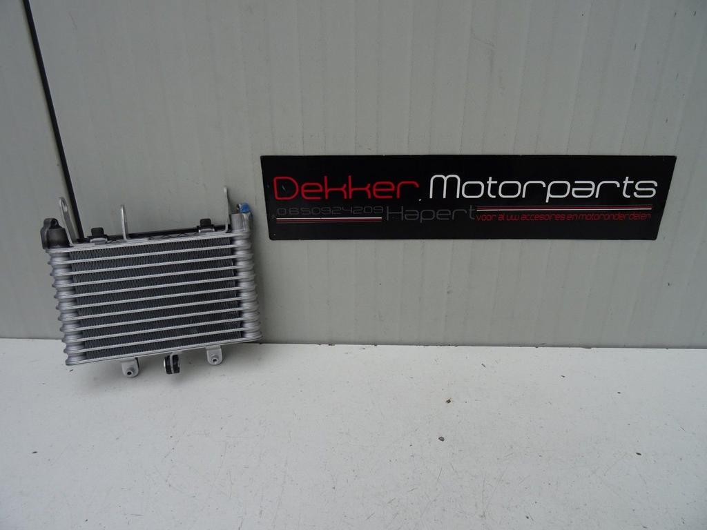 Oliekoeler / Oil Cooler Yamaha YZF R1 2015-2017-2020-2025, Ophalen of Verzenden, -, -, -