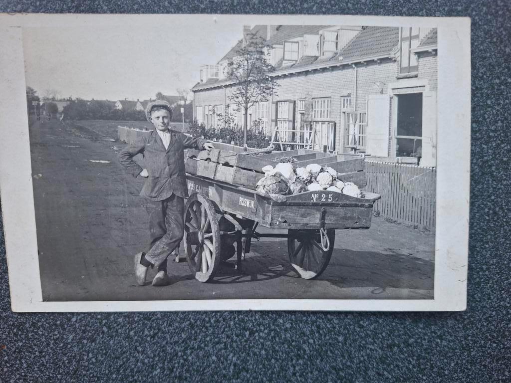 Rijswijk/Leidschendam / Rijswijk fotokaart groenten kar 1924, Ophalen of Verzenden, 1920 tot 1940, Gelopen, Zuid-Holland