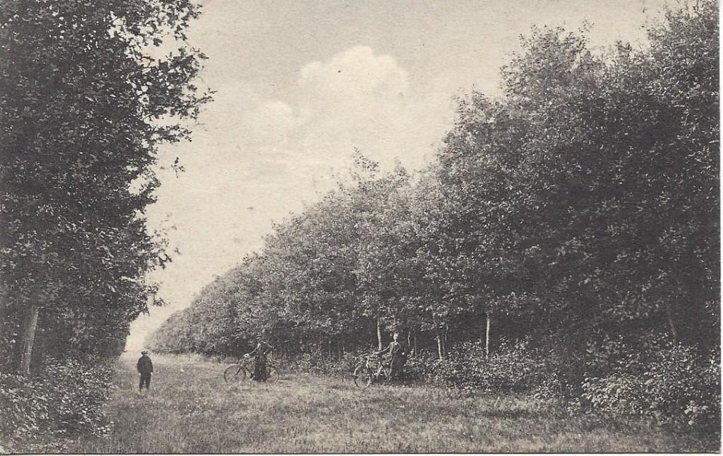 Oudemirdum (Frl.) Gaasterland, Badplaats, Volk, gelopen 1924, Ophalen of Verzenden, 1920 tot 1940, Gelopen, Friesland