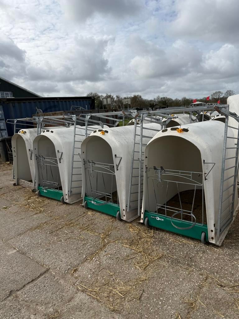 Kalver iglo’s calf tel, Dieren en Toebehoren