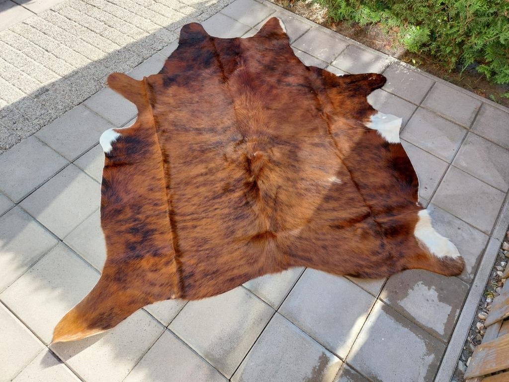 Roodbonte koeiehuid, Ophalen, Rechthoekig, 50 tot 100 cm