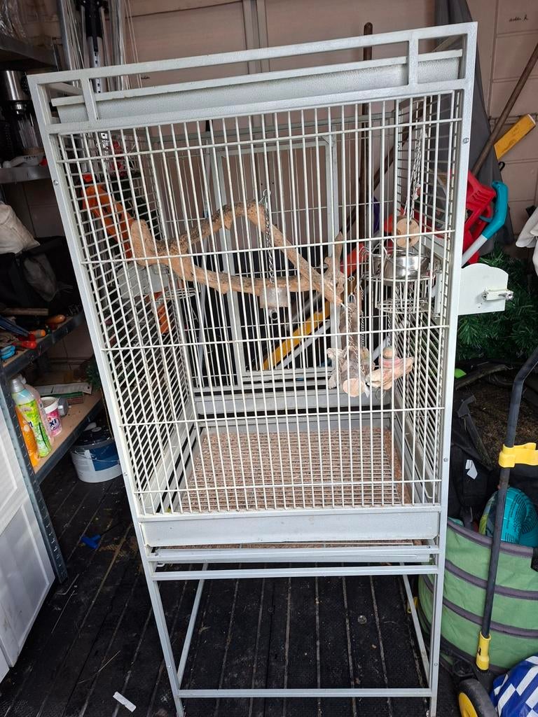 Papagaai  kooi, Dieren en Toebehoren, Vogels | Hokken en Kooien, Ophalen of Verzenden, Metaal, Vogelkooi