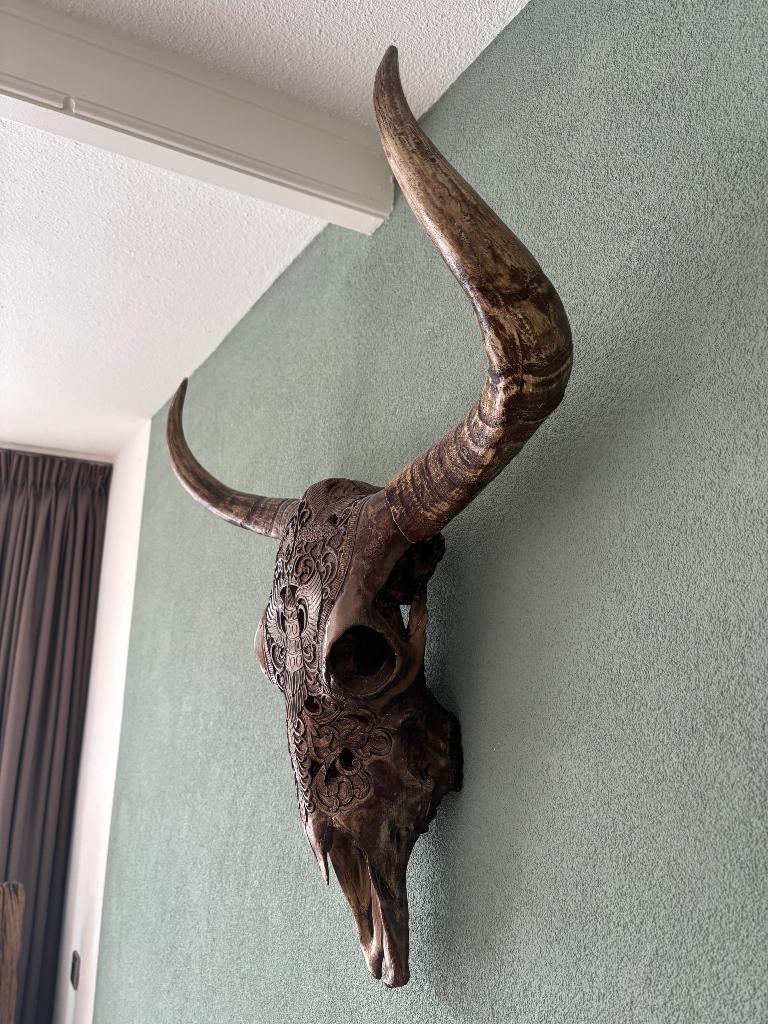 Skull, Western, Ophalen, Nieuw, Decoratieobject