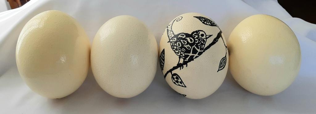 4 Grote Struisvogel Eieren 15 cm. hoog., Ophalen of Verzenden