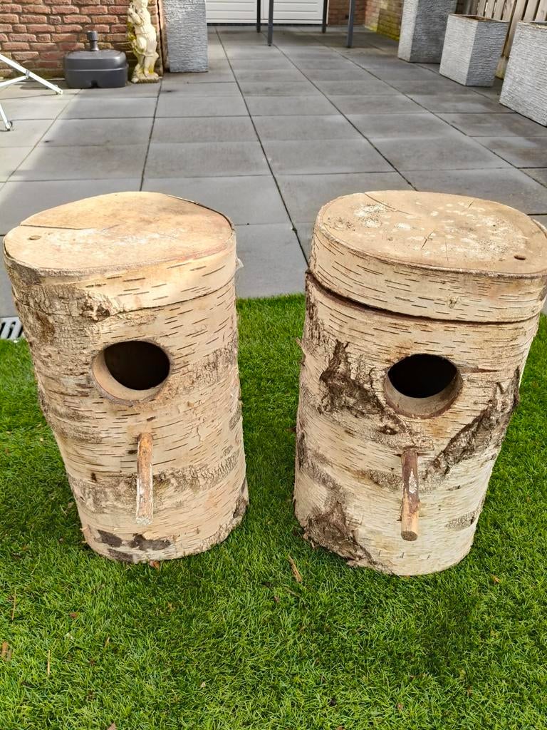 Natuur broed blokken berken, Meerdere dieren, Parkiet