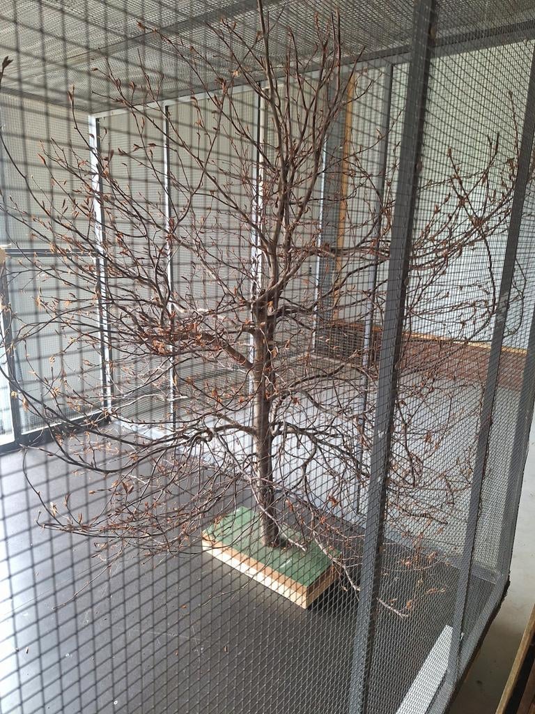 Volière, Ophalen of Verzenden, Aluminium, Volière