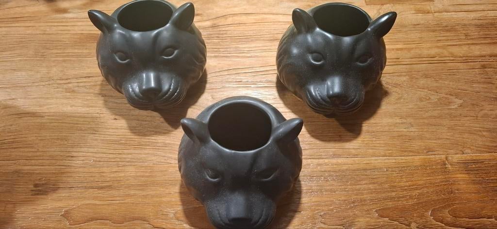 Pennenbakjes luipaard, Ophalen, Zo goed als nieuw