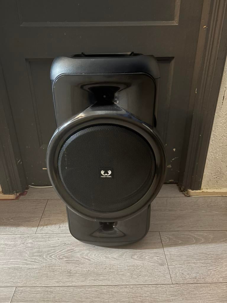 Fresh n rebel partybox., Overige typen, Zo goed als nieuw, Minder dan 60 watt, Ophalen