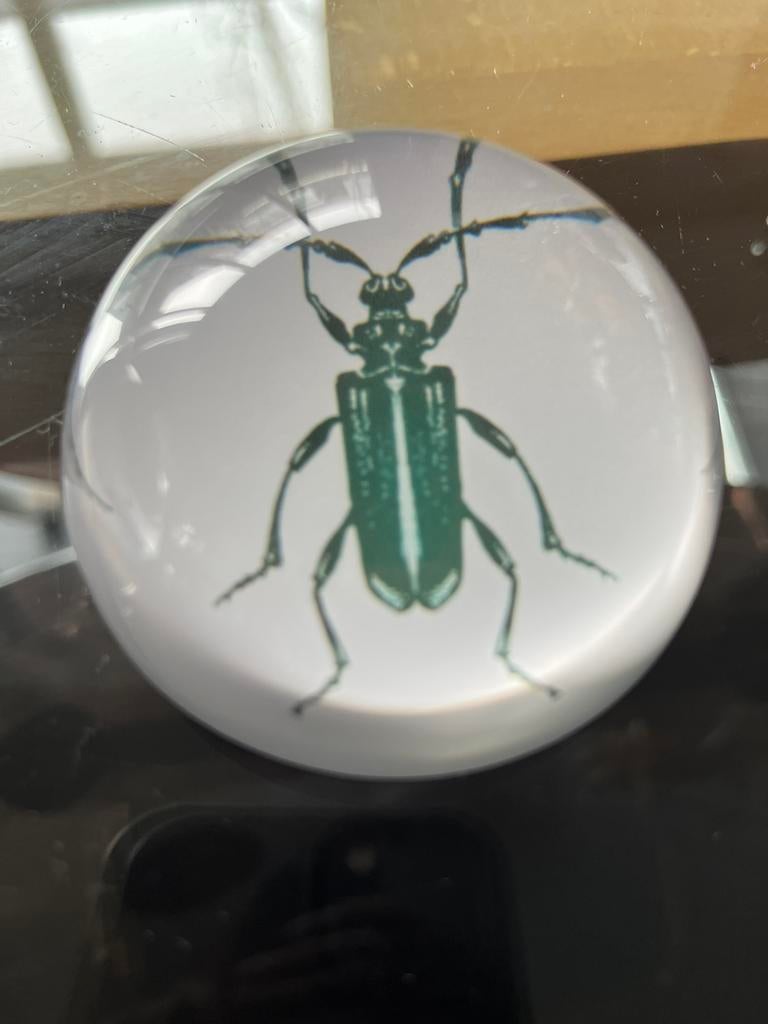 Presse Papier, Ophalen of Verzenden