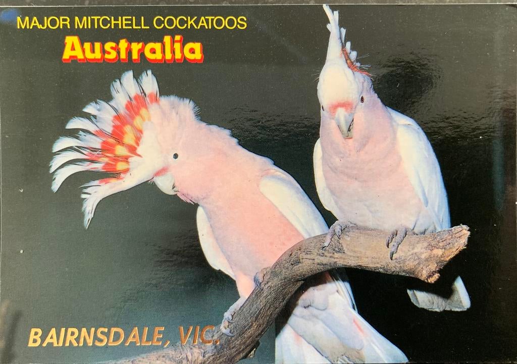 Australië, Bairnsdale., Verzamelen, Ansichtkaarten | Buitenland, Ophalen of Verzenden, Gelopen, Buiten Europa