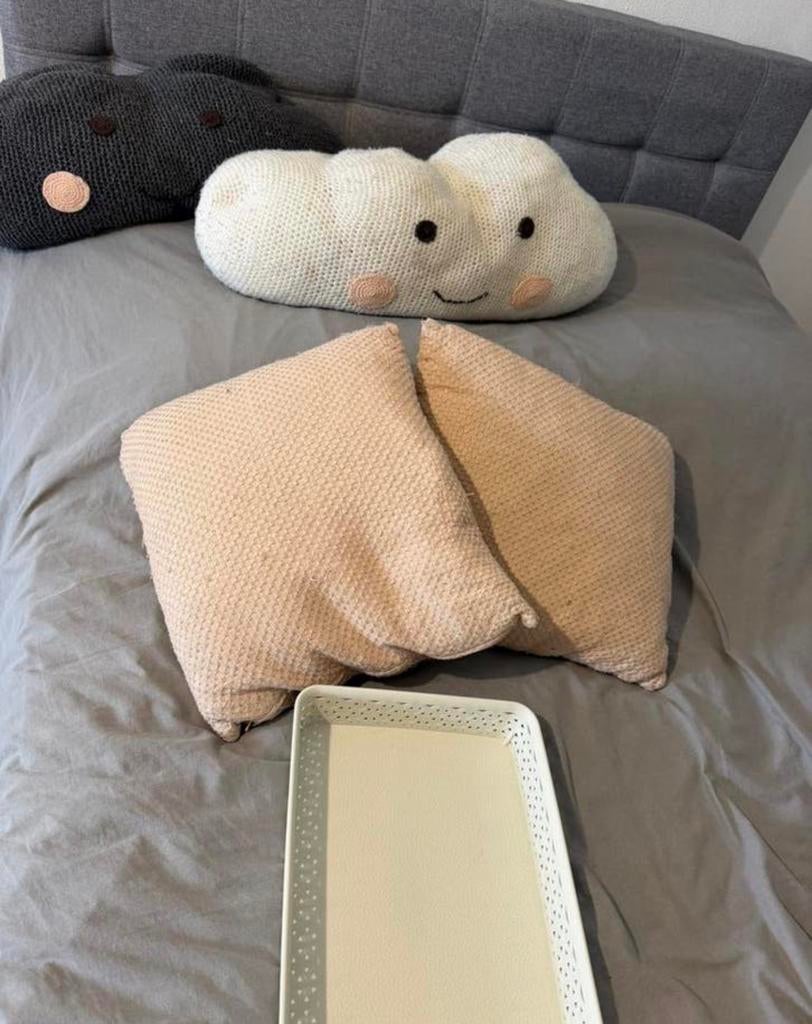 Gratis kussens en bakje, Huis en Inrichting, Woonaccessoires | Kussens, Ophalen of Verzenden, Zo goed als nieuw, Vierkant