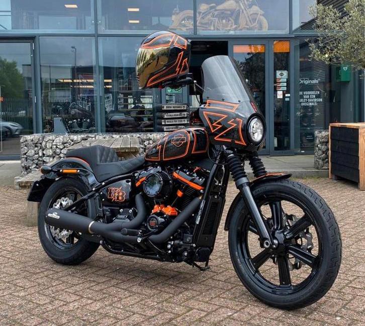 Harley Davidson softail custom Hundredboyz, Chopper, Particulier
