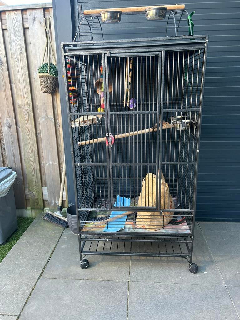 Vogel kooi, Ophalen, Zo goed als nieuw, Metaal, Vogelkooi