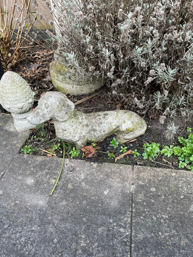 Leuke Betonnen teckel, tuinbeeld, Ophalen, Gebruikt, Dierenbeeld