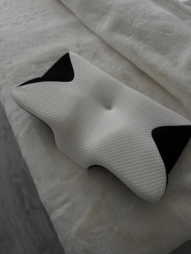 Hoofdkussen, 2 stuks., Ophalen of Verzenden