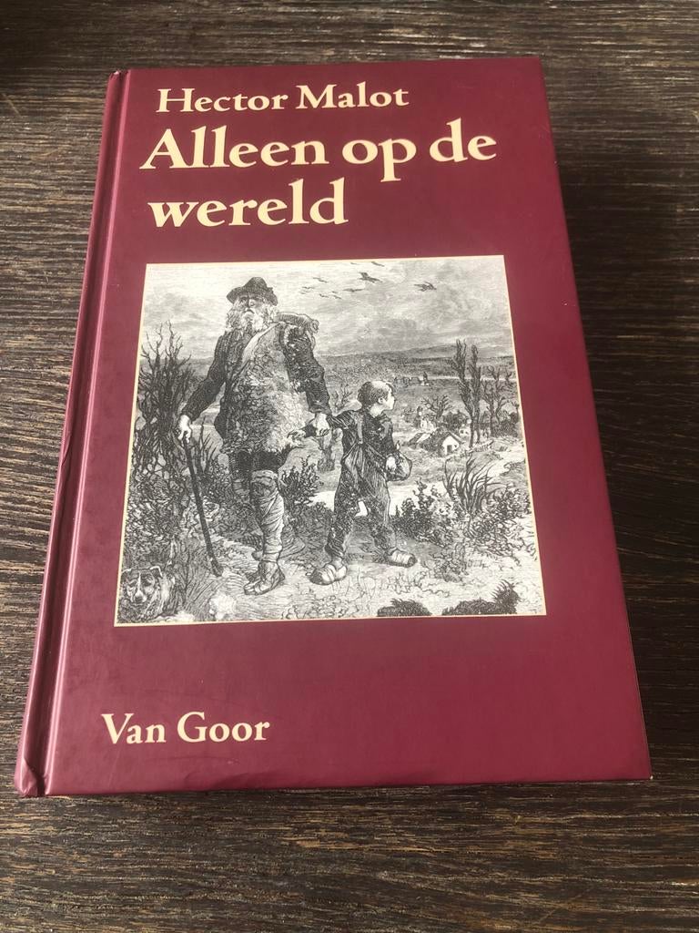 Alleen op de wereld - Hector Malot, Boeken, Literatuur, Ophalen of Verzenden, Zo goed als nieuw, Nederland