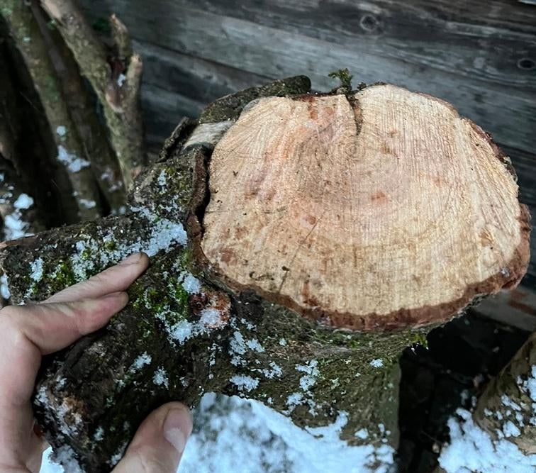 Draaihout, fruithout (?), Tuin en Terras, Haardhout, Minder dan 3 m³, Ophalen, Overige houtsoorten, Stammen