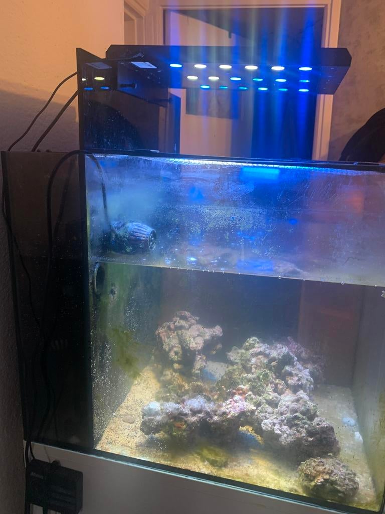 Aqua medic led verlichting compleet, Ophalen of Verzenden, Zo goed als nieuw, Verlichting of Verwarming