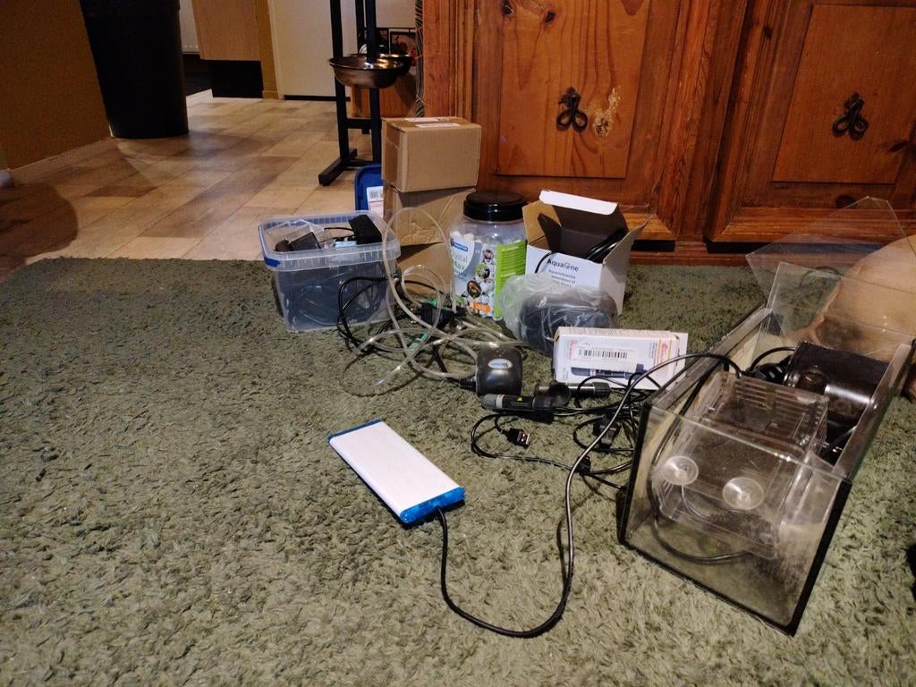 Kweek aquarium, Dieren en Toebehoren, Ophalen, Plant(en), Steen of Hout