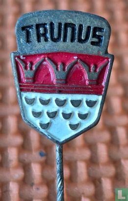 Speldje - Ford Taunus, Ophalen of Verzenden, Zo goed als nieuw, Merk, Speldje of Pin