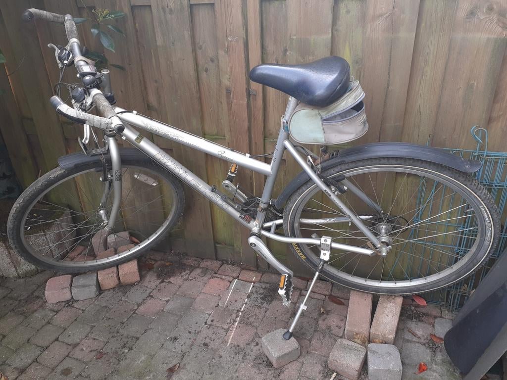 Raleigh mountainbike, Fietsen en Brommers, Fietsen | Mountainbikes en ATB, Gebruikt, 49 tot 53 cm, Dames, Geen vering