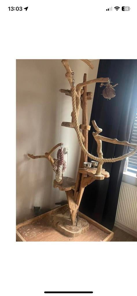 grote javaboom, Ophalen, Zo goed als nieuw, Metaal, Vogelkooi