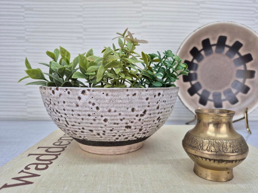 Cactusbak/succulenten pot keramiek. Vintage bloempot., Ophalen of Verzenden, ., ., .