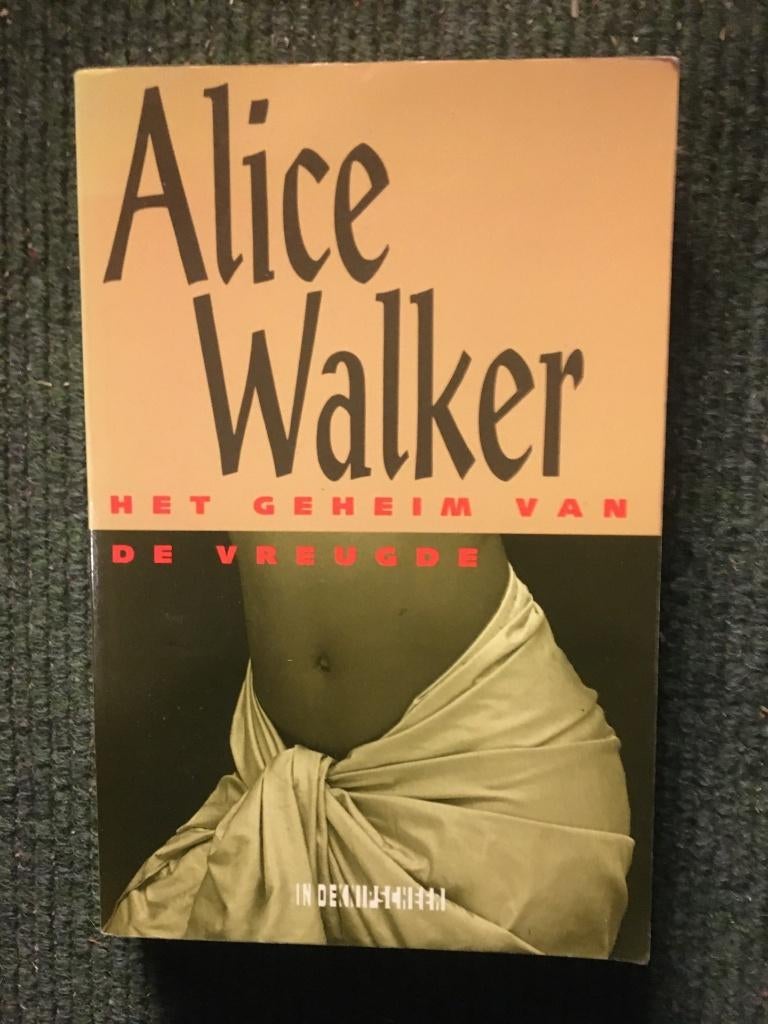 Het geheim van de vreugde; door Alice Walker #vrouwen, Gelezen, Ophalen of Verzenden, Alice Walker, Amerika