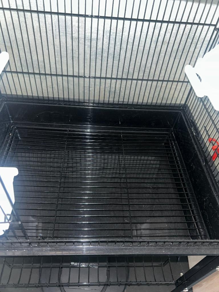 Vogelkooi, Ophalen, Zo goed als nieuw, Metaal, Vogelkooi