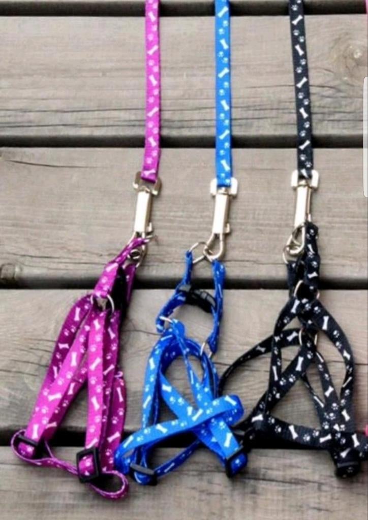 Riem+tuigje voor zowel hond als pup., Dieren en Toebehoren, Ophalen of Verzenden, Nieuw