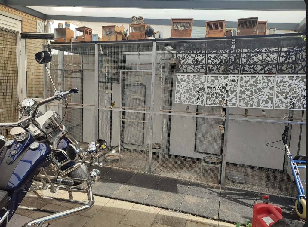 Voliere vluchten papegaai parkiet aluminium trespa, Dieren en Toebehoren, Vogels | Hokken en Kooien, Ophalen, Aluminium, Volière