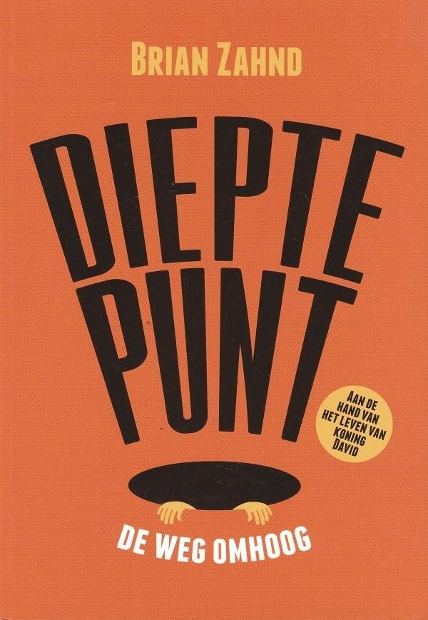 Dieptepunt de weg omhoog - Brian Zahnd - NIEUW!, Nieuw, Christendom | Protestants, Ophalen of Verzenden, Brian Zahnd