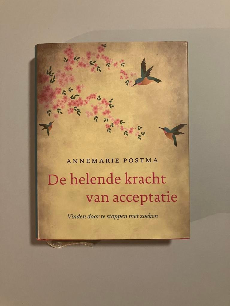 De Helende Kracht van Acceptatie - Annemarie Postma, Ophalen of Verzenden, Zo goed als nieuw, Overige onderwerpen, Achtergrond en Informatie