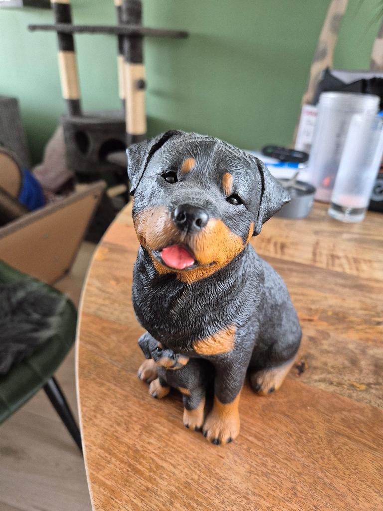 Honden beelden, Ophalen of Verzenden, Zo goed als nieuw, Dier