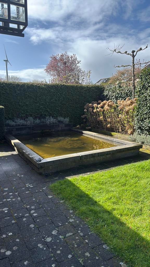 Vijver., Ophalen of Verzenden, Gebruikt