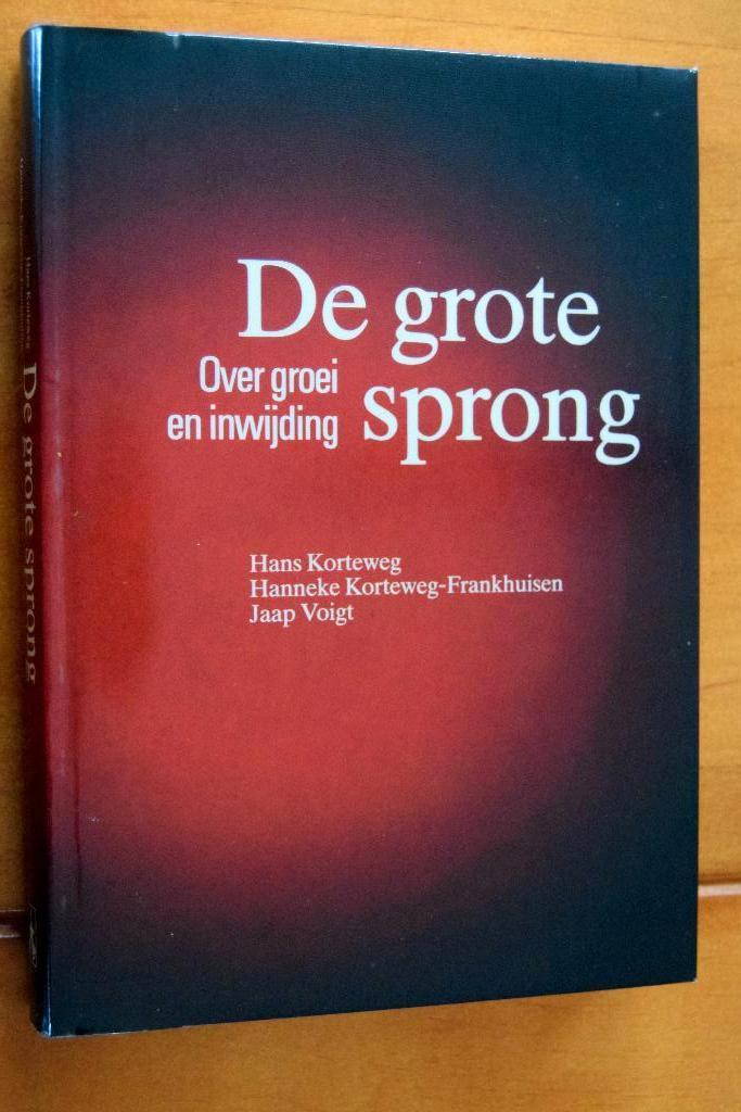 De Grote Sprong, Ophalen of Verzenden, Gelezen, Spiritualiteit algemeen, Overige typen