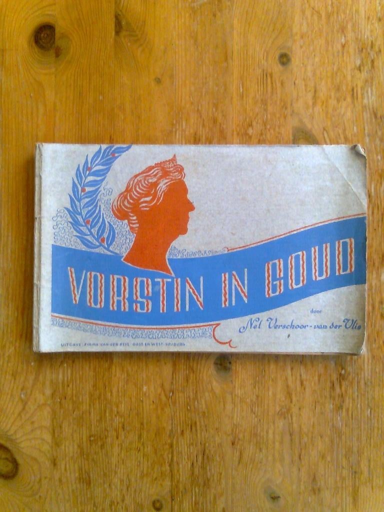 Vorstin in Goud, door Nel Verschoor-van der Vlis, Ophalen of Verzenden, Gelezen