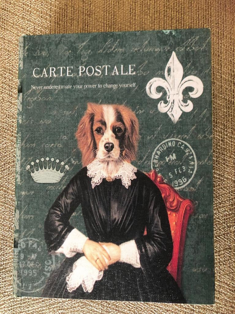 Opbergdoos in boekvorm / Geschenken / Decoratieve doos, Overige materialen, Minder dan 50 cm, Ophalen of Verzenden, Zo goed als nieuw