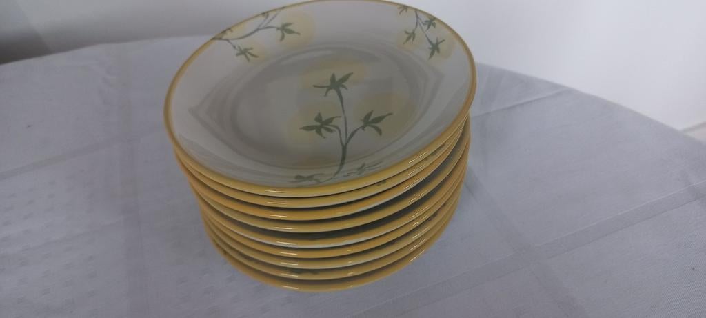 Gebaksbordjes- set van 9 stuks, Ophalen of Verzenden