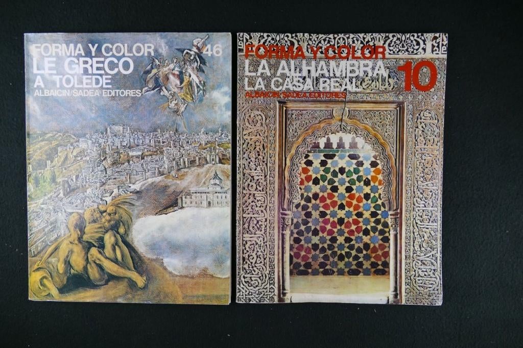 2x Spaanse kunstboeken: Forma Y Color (1966), Gelezen, Ophalen of Verzenden, Meerdere auteurs, Overige onderwerpen