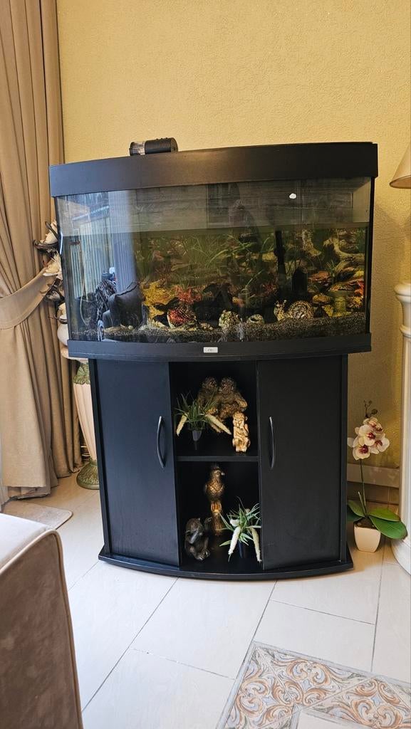 Juwel Vision 180, Ophalen of Verzenden, Zo goed als nieuw, Leeg aquarium