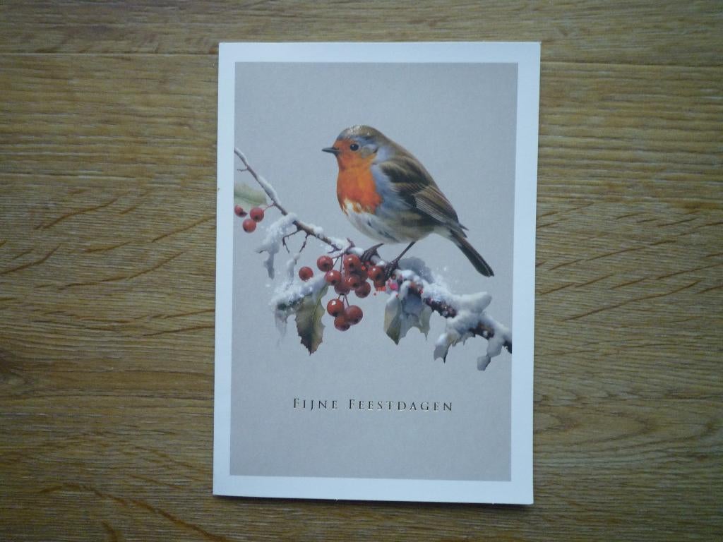 Roodborstje vogels (2), Ophalen of Verzenden, Voor 1920, Vogel