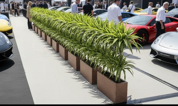 Huur: Dracaena fragrans 'Lemon Lime' voor events, Ophalen of Verzenden, Halfschaduw, Minder dan 100 cm