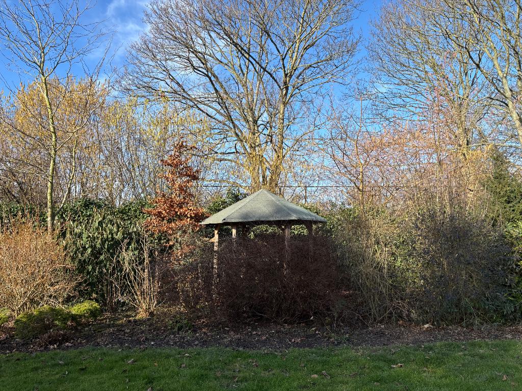 Carnica bijenvolk gezocht, Dieren en Toebehoren, Bijen