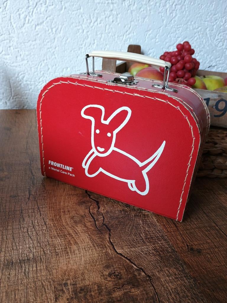 Klein brocant kinderkoffertje, Ophalen of Verzenden