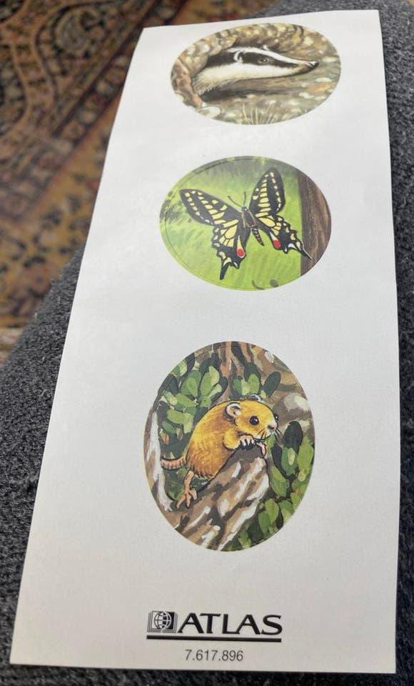 Atlas stickers met dieren: das, vlinder, muis, Ophalen of Verzenden, Nieuw, Dier en Natuur