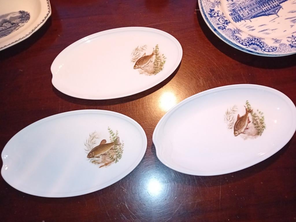 Viscouvert Schaaltjes Royal Schwabab, Ophalen